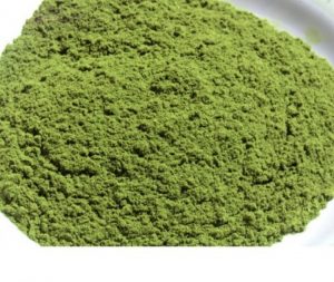 Anoda (Soursop)  Leaves Powder - Image 3