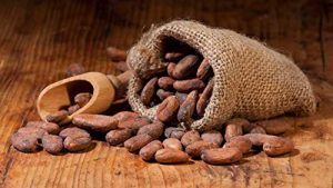 Cocoa Powder High Fat - Image 2