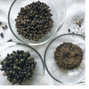Papaya Seed Powder - Image 2